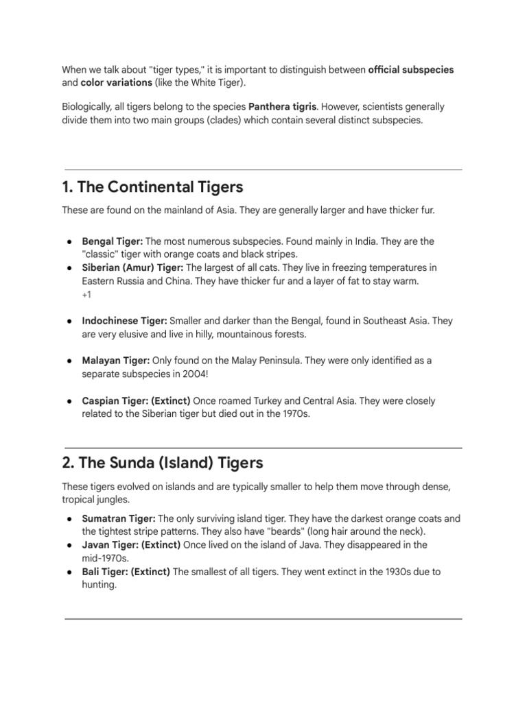 Tiger Subspecies and Variations Explained | PDF | Tiger | Panthera