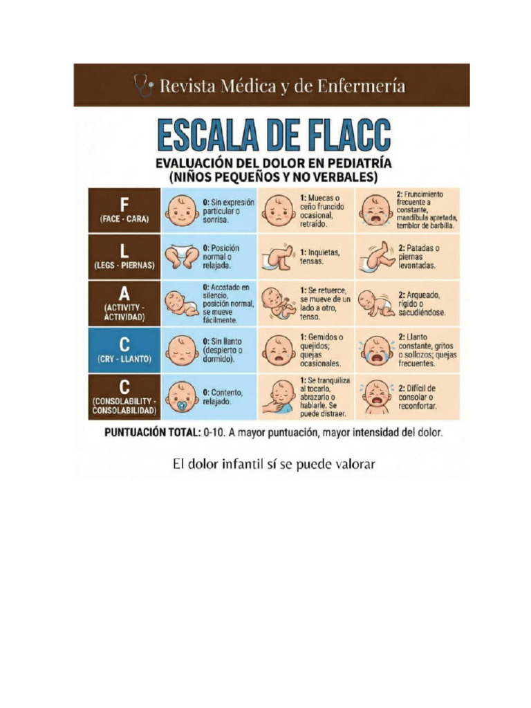 Test de Flacc 1 | PDF