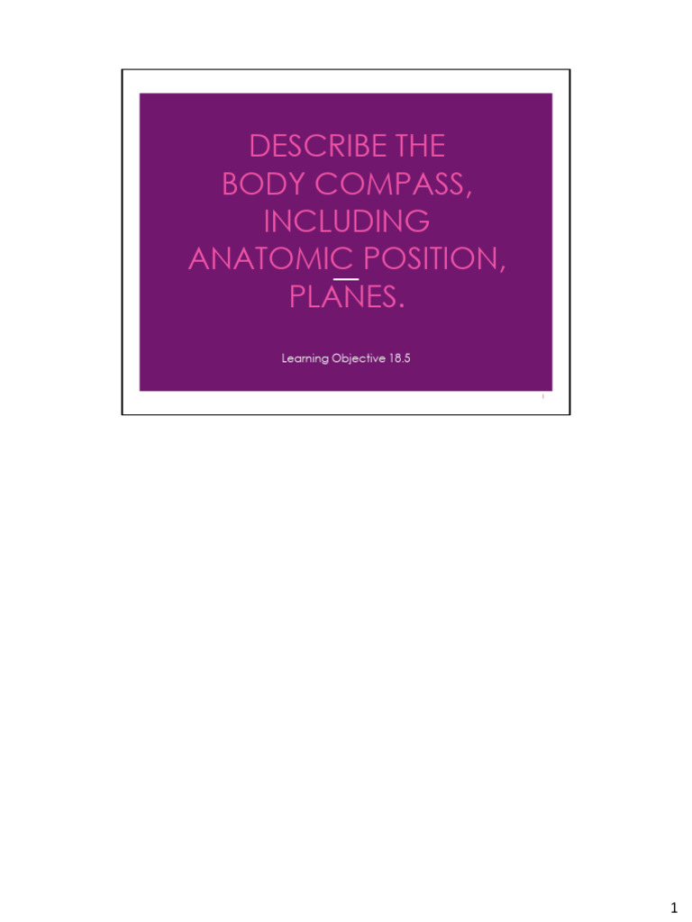 Ch18-4 BodyCompass Planes Salvo7e | PDF | Abdomen | Anatomical Terms Of ...