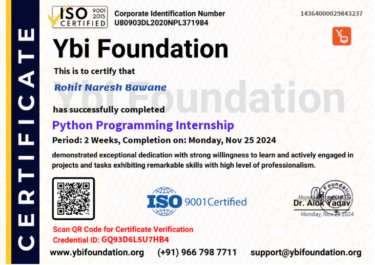 Python Programming Internship (30days) | PDF