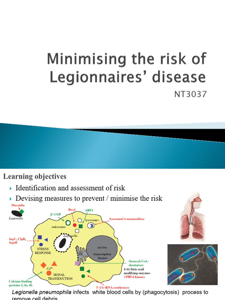 Minimising The Risk of Legionnaires Disease | PDF | Biofilm | Microbiology