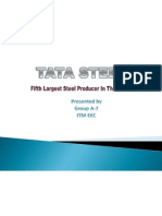 Ma Project On Tata Steel