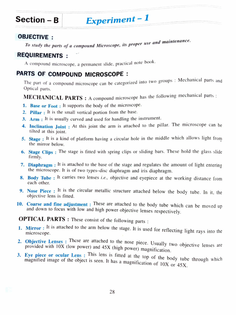 XI Biology Practical Sec B Spotting Ex - No. 1 To 5 | PDF | Mitosis ...