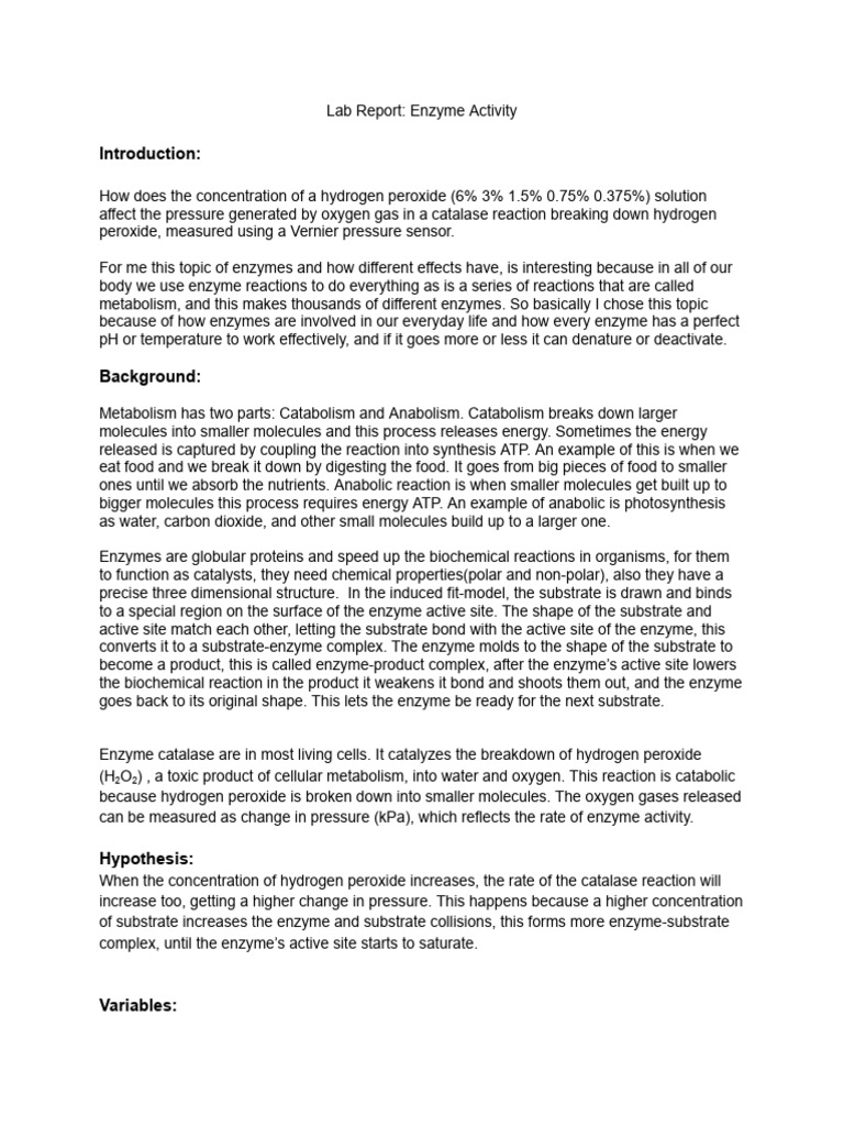Lab Report - Enzyme Activity | PDF | Metabolism | Enzyme