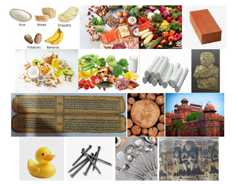 Science Balanced Diet Chart | PDF