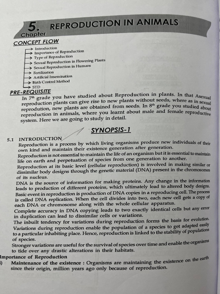 Rep Animals | PDF