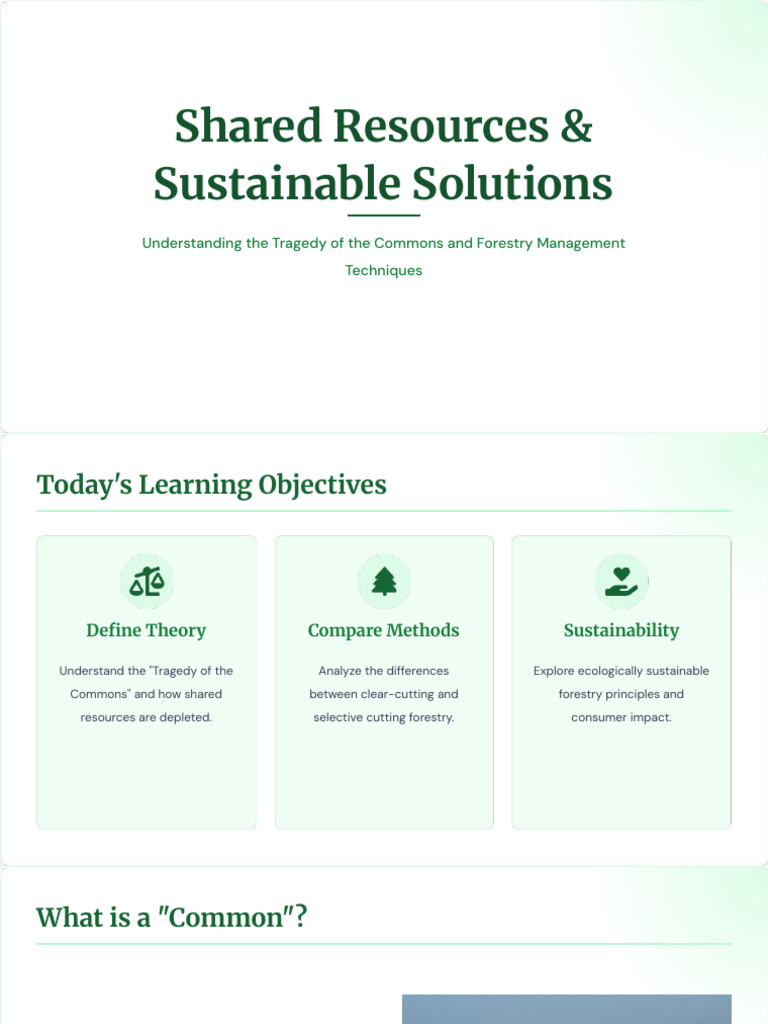 Forestry Management Techniques | PDF | Forests | Forest Stewardship Council