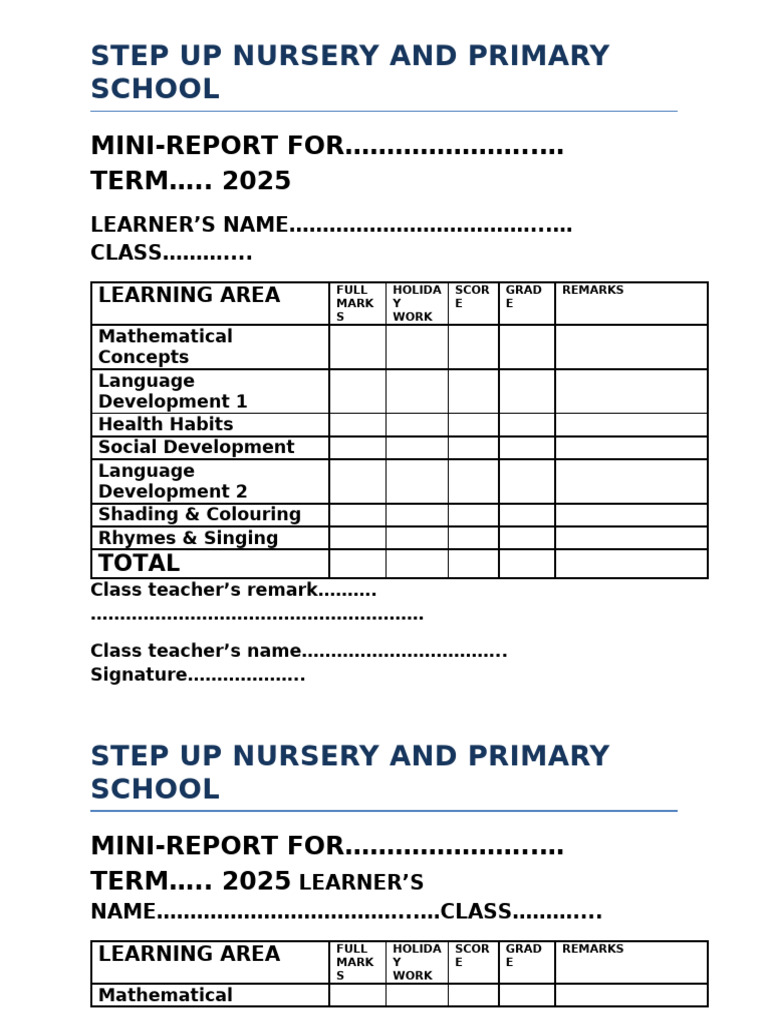 Mini Report 2025 | PDF