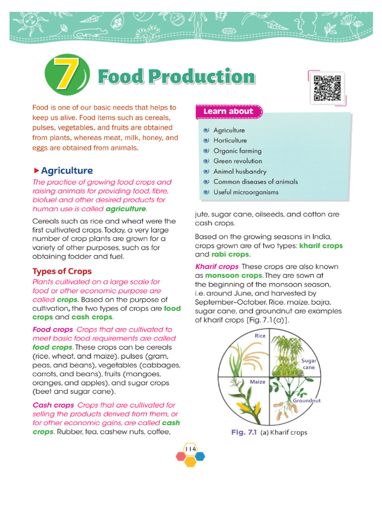 Food Production Bio Imp | PDF