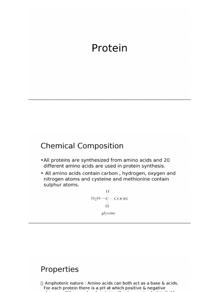 Protein | PDF