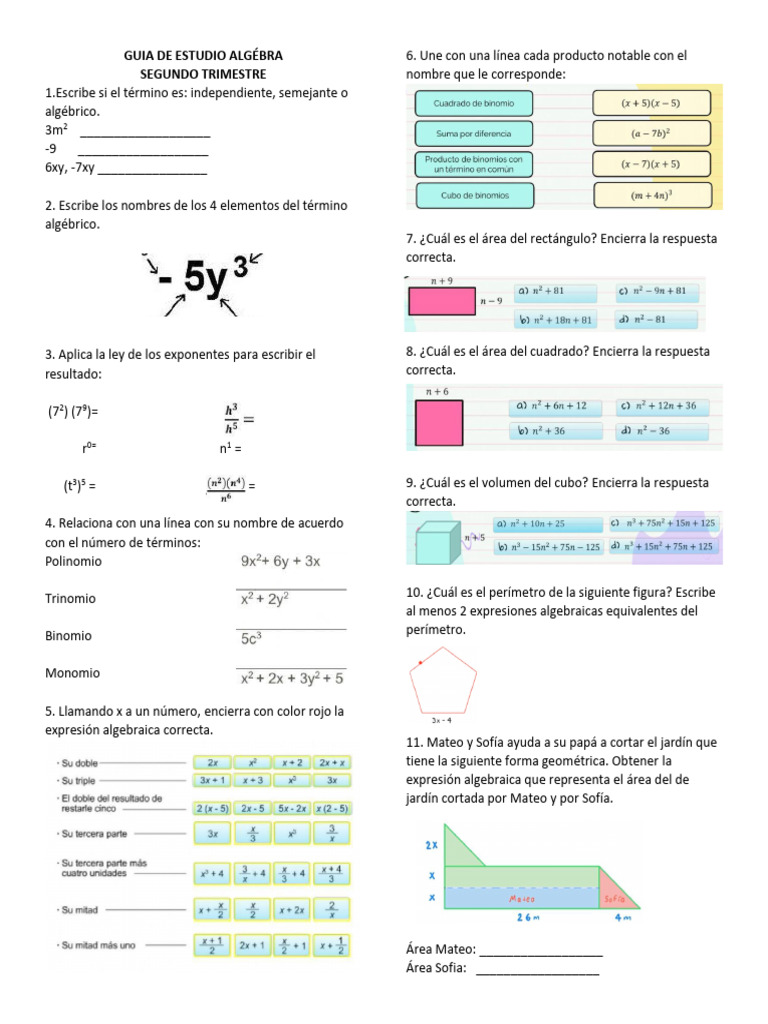 guia-de-estudio-alg-bra-pdf-polinomio-lgebra-abstracta