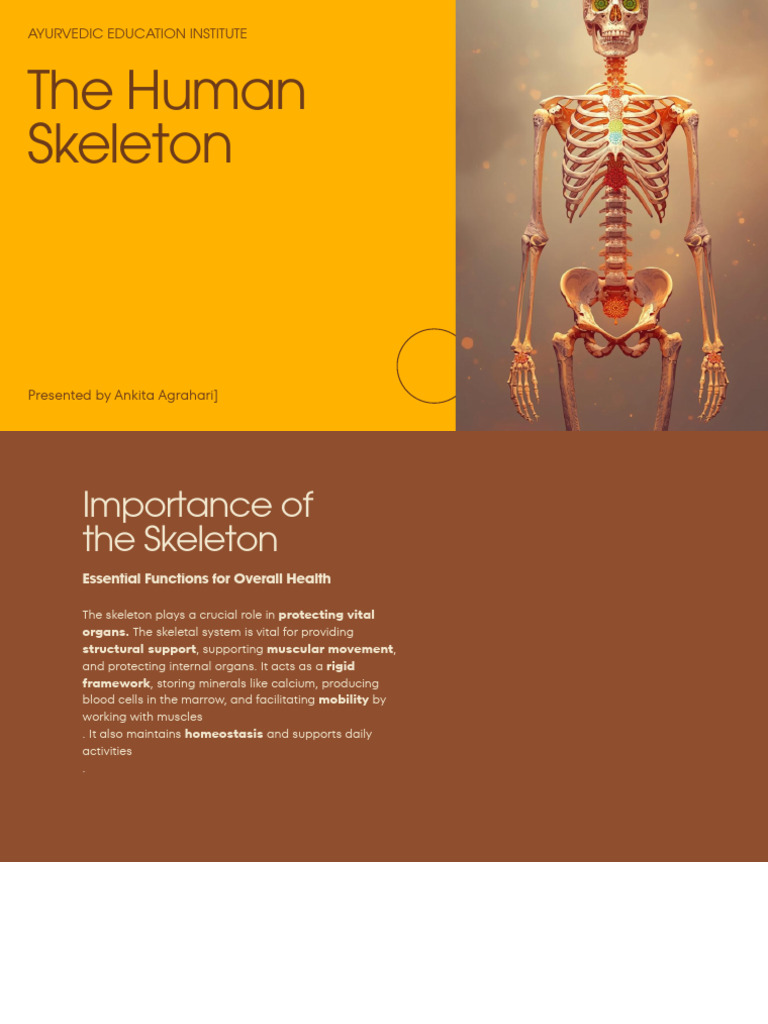 Presentation - The Human Skeleton - 20260216 - 115239 - 0000 | PDF ...
