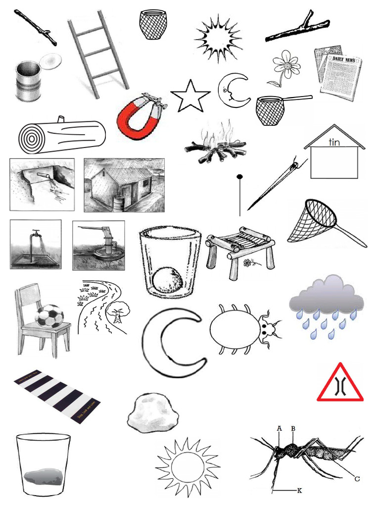 Environment | PDF