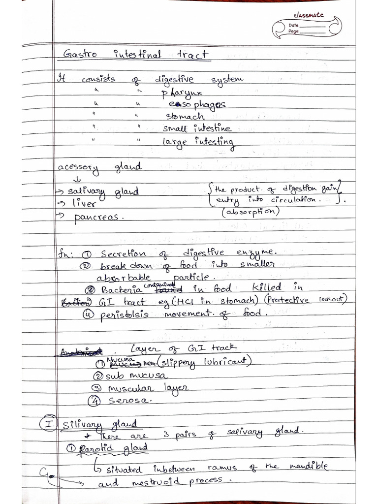 Physiology 12.02.2026 | PDF