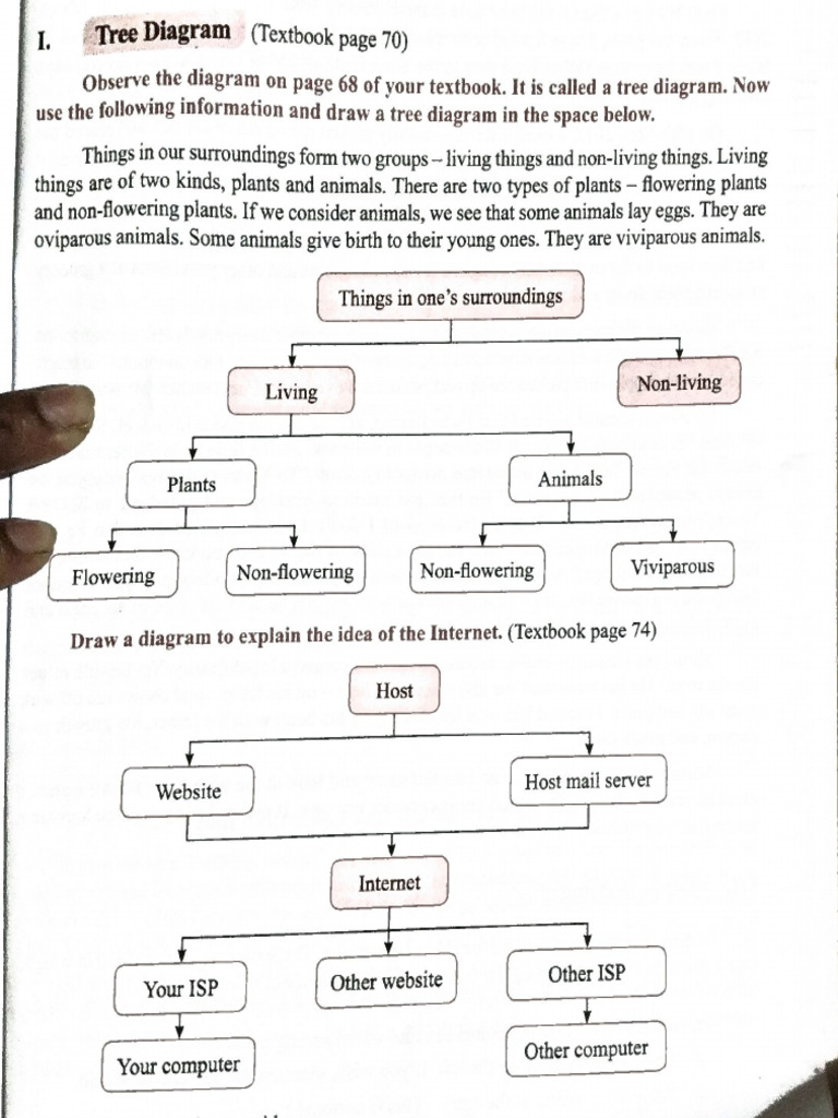 STD - 5th - Tree Diagram | PDF