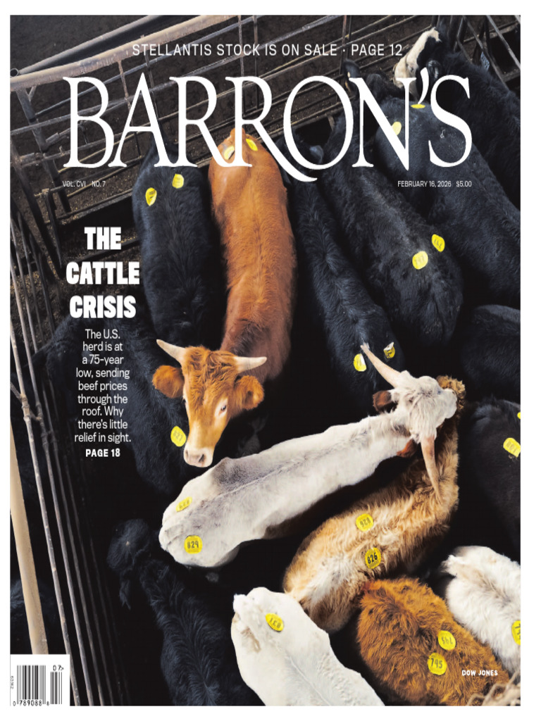 Barron's Magazine - February 16, 2026 | PDF | Private Sector | Companies