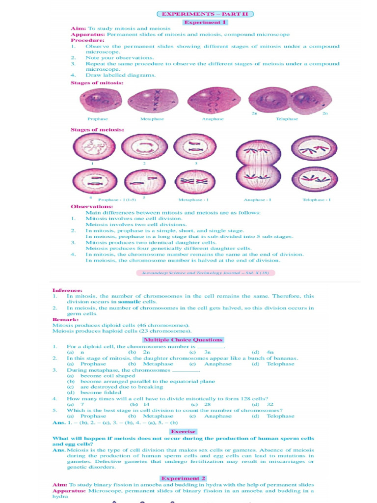 STD 10 (SC - Ii) Pratical Notes | PDF
