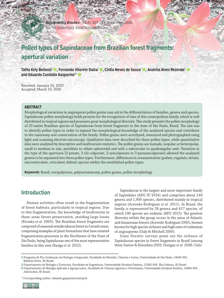 Pollen Types of Sapindaceae From Brazilian Forest Fragments ...