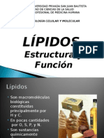 Biología3-Lipidos Imp