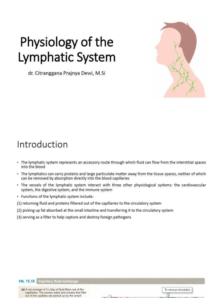 Physiology of The Lymphatic System (Dr. Citranggana, M.si) | PDF ...