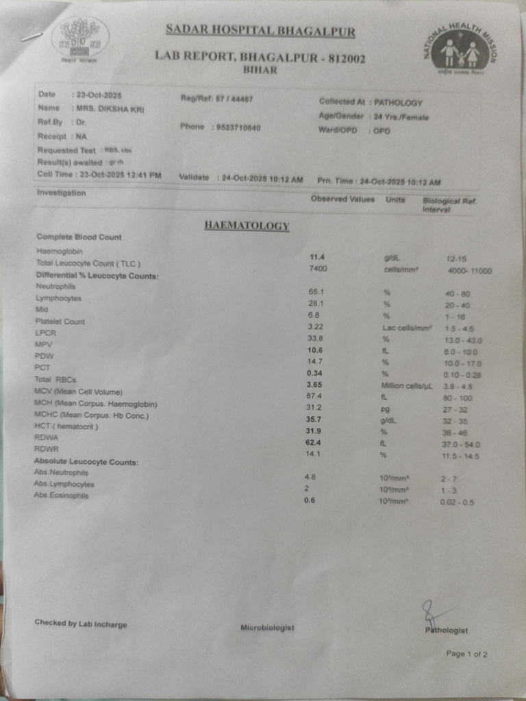 B Report | PDF