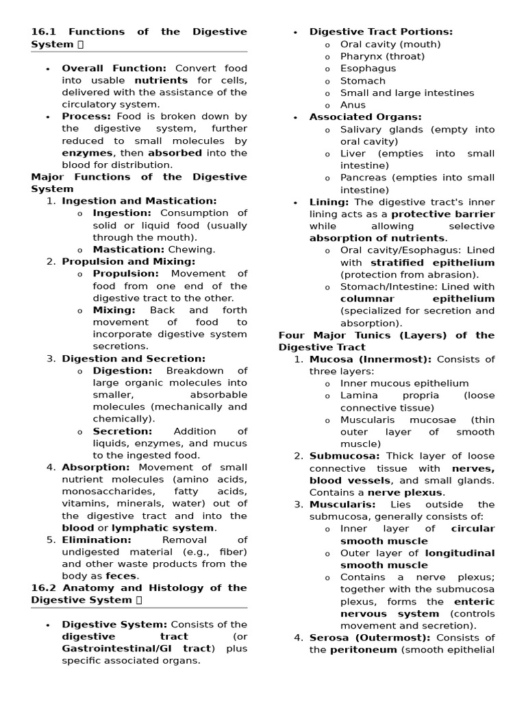 Digestive System Reviewer | PDF | Stomach | Liver