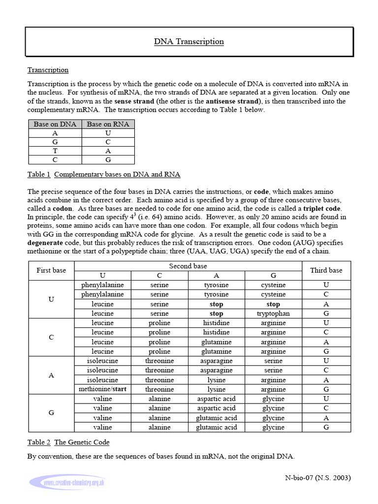 N-Bio-07 DNA Transcription | PDF | Genetic Code | Amino Acid