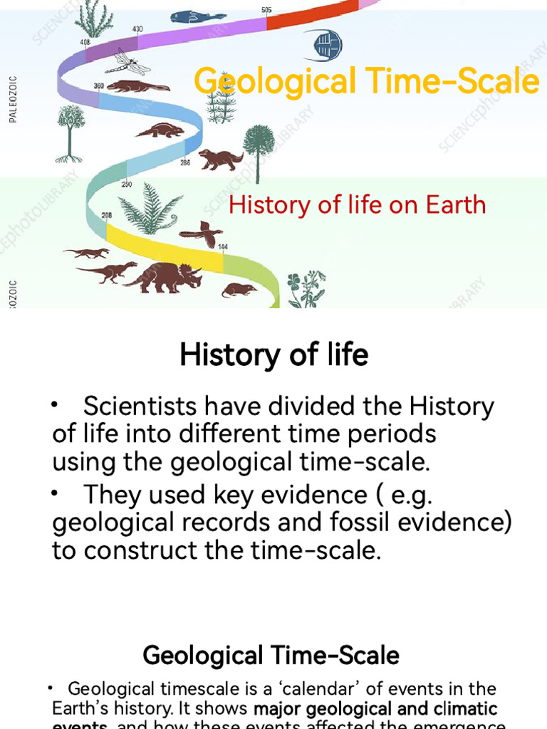 Geological Timescale | PDF