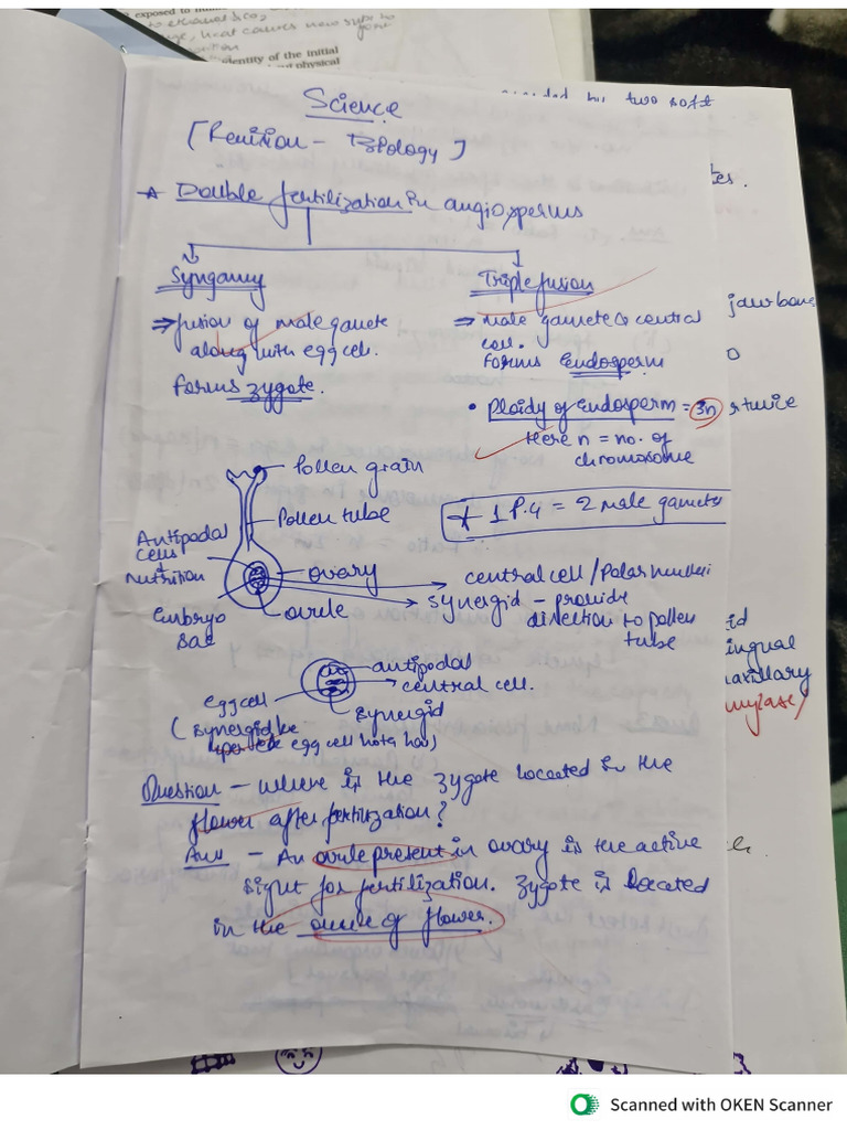 Notes for Bio | PDF