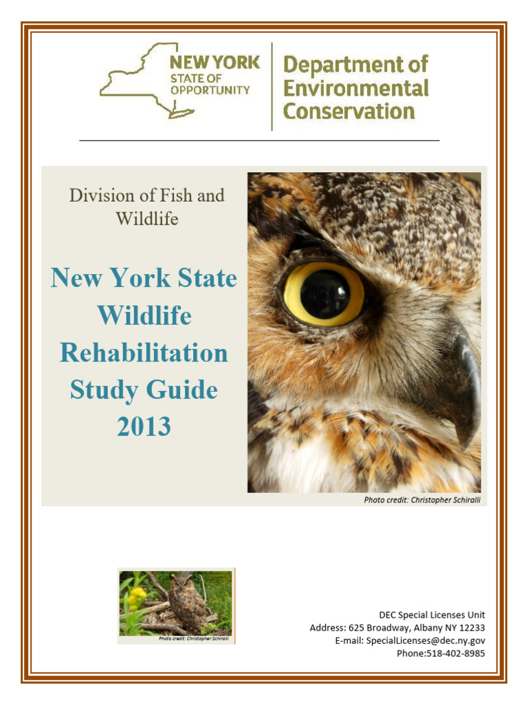 NYS DEC Rehab-merged | PDF | Zoology