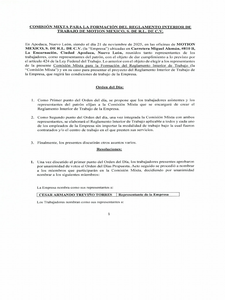Comisón Mixta para La Formación Del Reglamento Interno de Trabajo de ...