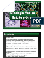 Micologia Prática 2009.02