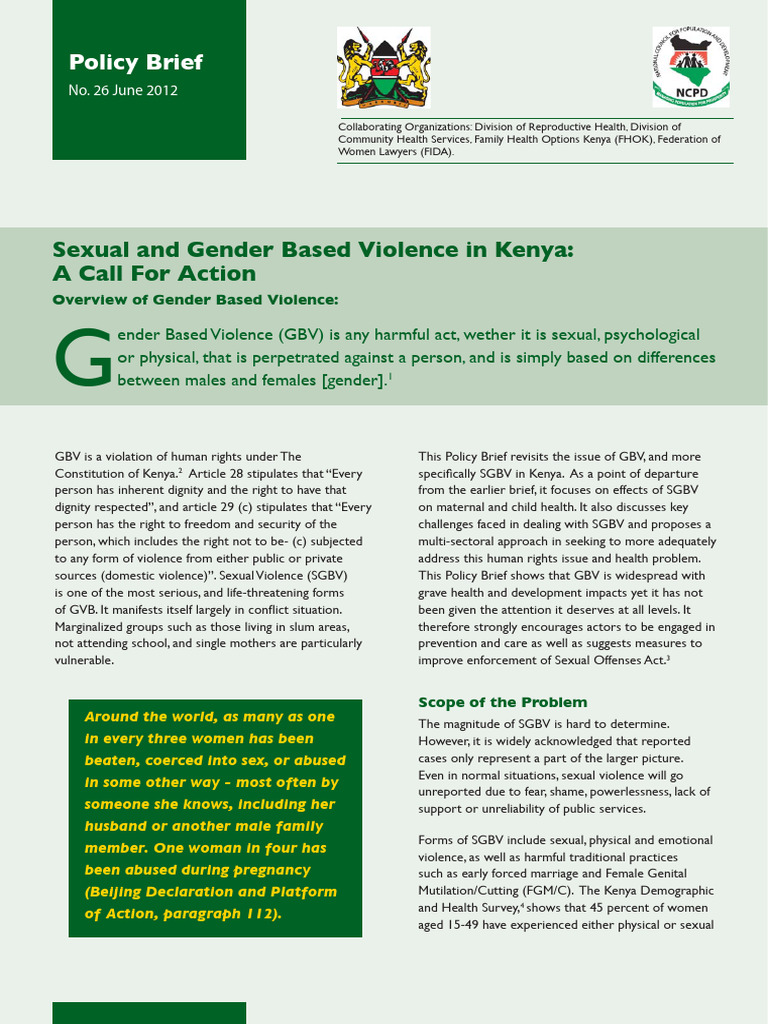 Policy Brief 26 Sexual and Gender Based Violence in Kenya | PDF ...