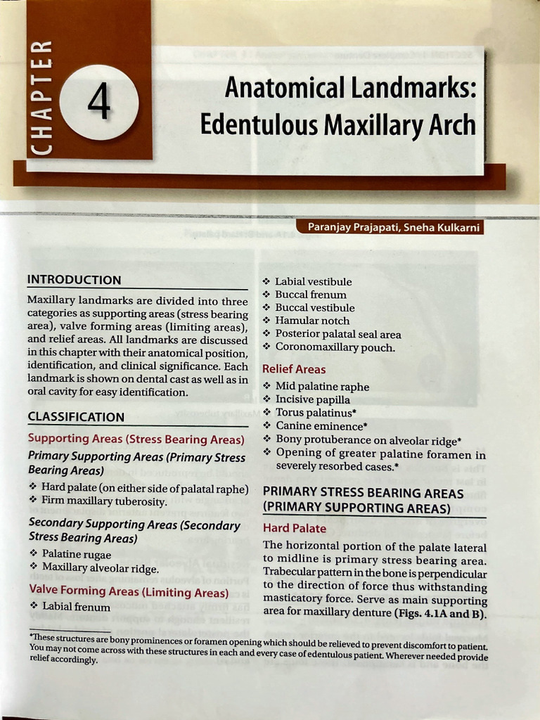 Anatomical Landmark Maxilla | PDF