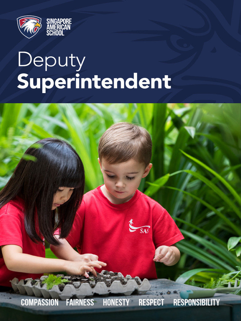 S As Deputy Superintendent Position Statement | PDF | Teachers | Leadership