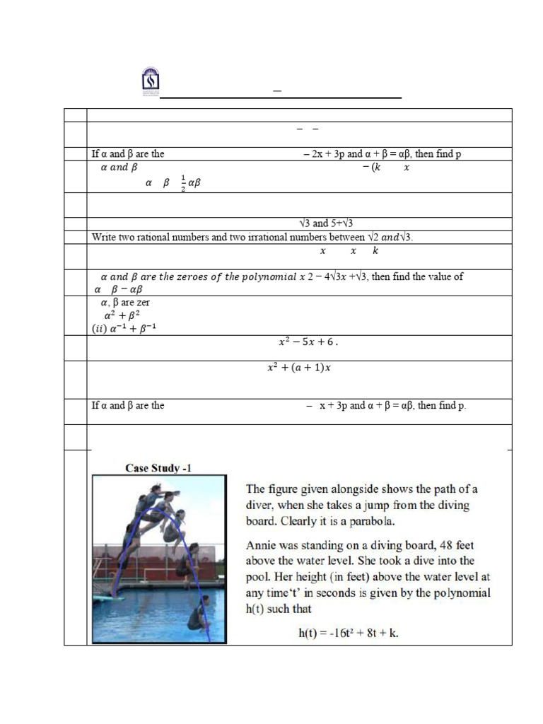 Work Sheet Polynomials 10 | PDF