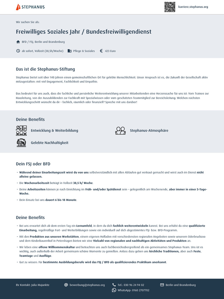FSJ Und BFD | PDF