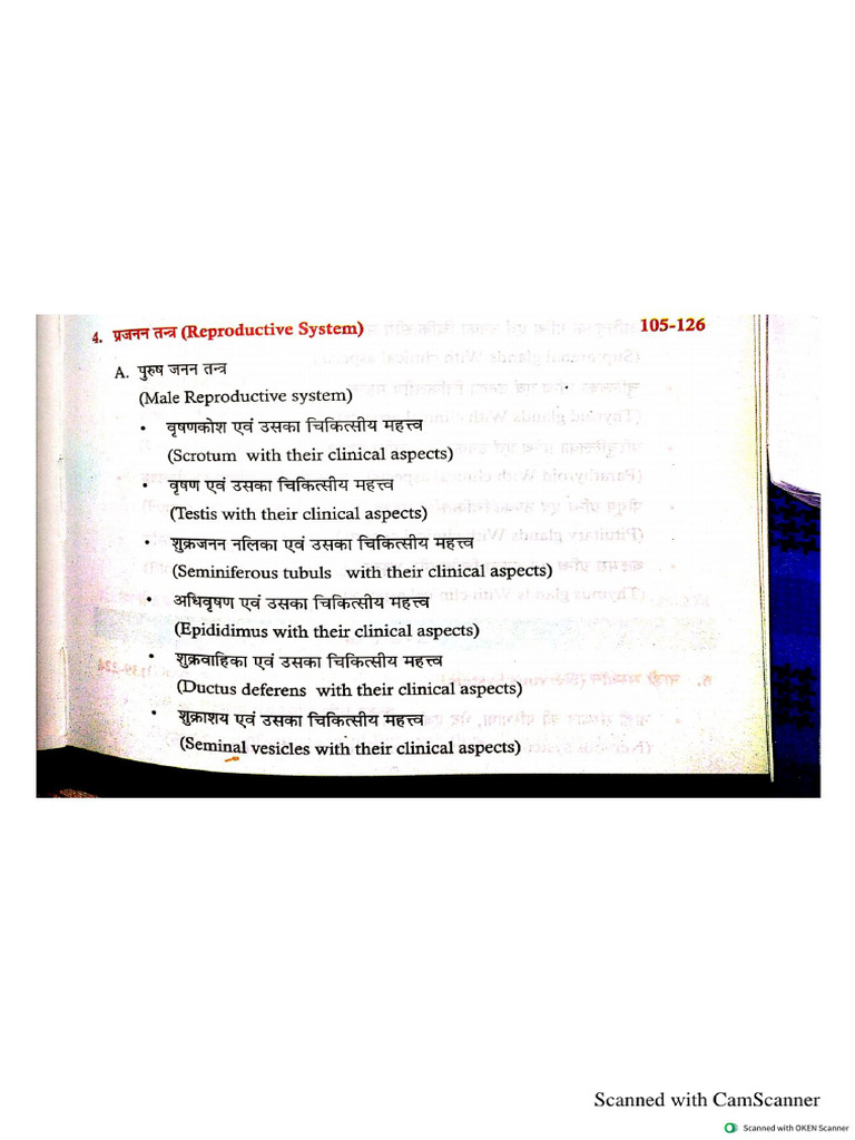 ) Reproductive System Anatomy | PDF