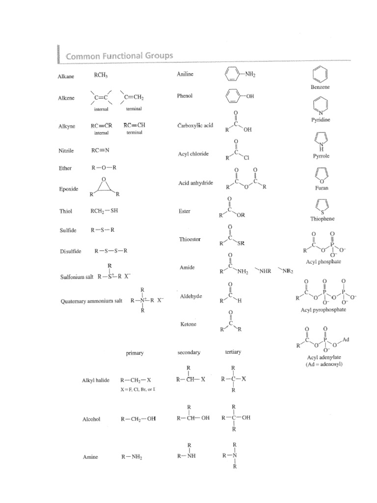 Common Functional Groups | PDF