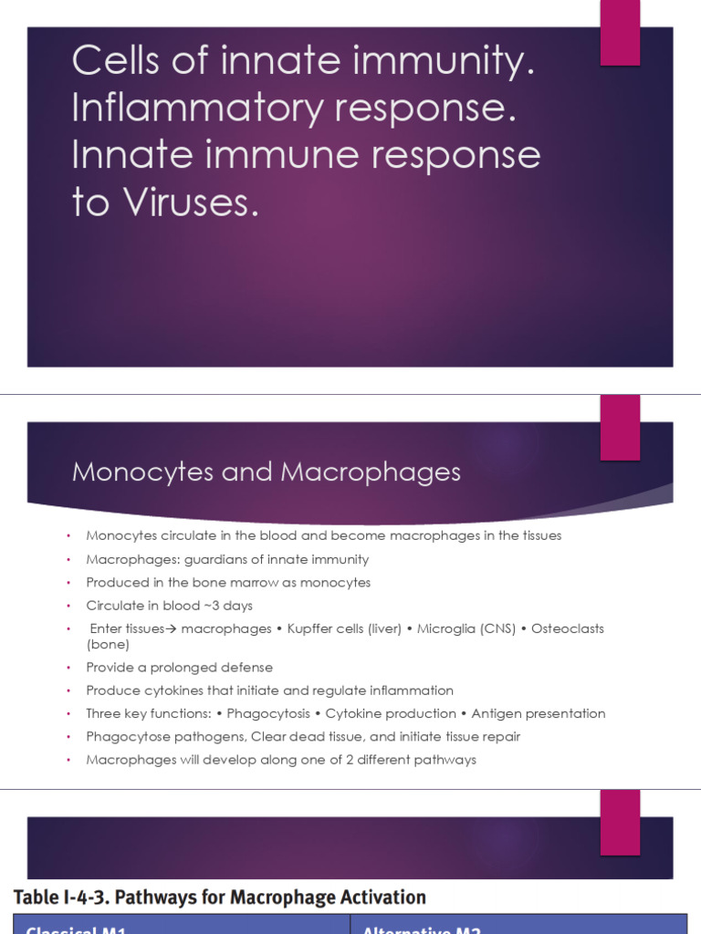 5.cells of Innate Immunity. Inflammatory Response. Innate Immune ...
