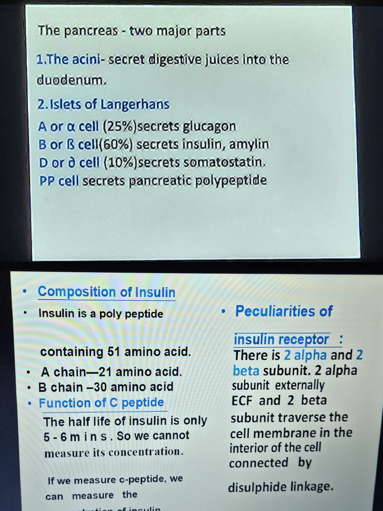 Hormones of Islets of Langerhan's of Pancreas - Compressed | PDF
