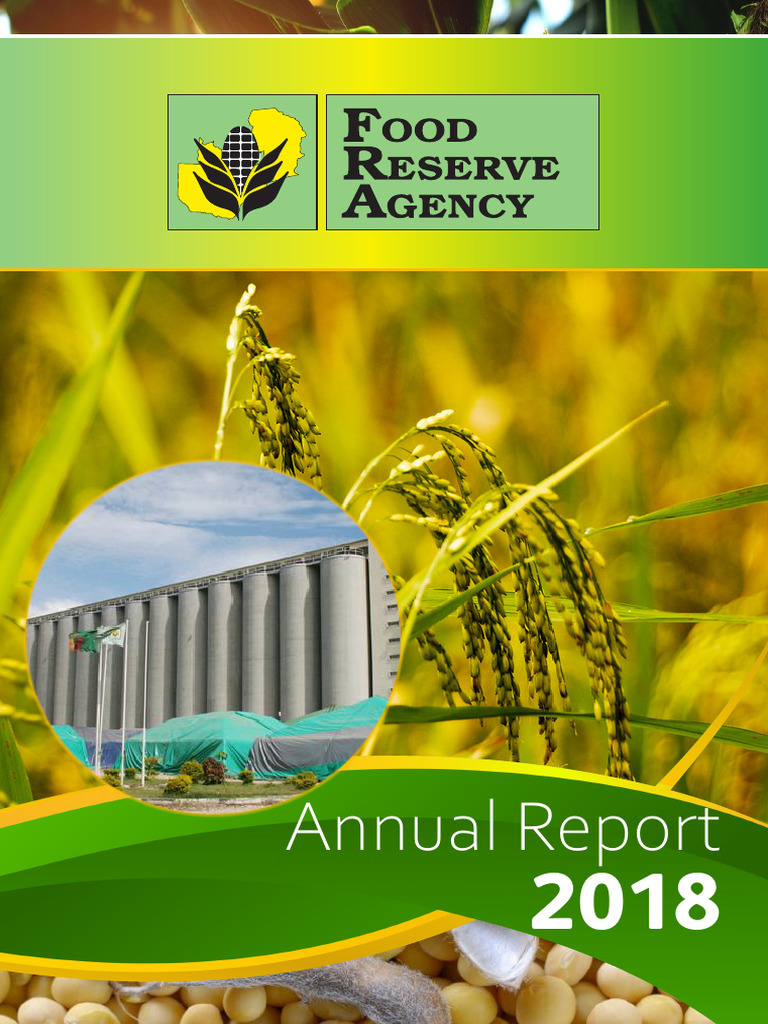 Annual Report Fra 2018 Final | PDF | Internal Control | Risk Management