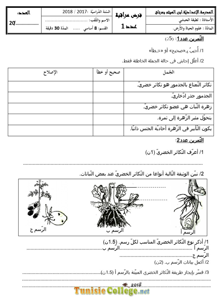 SC2 | PDF