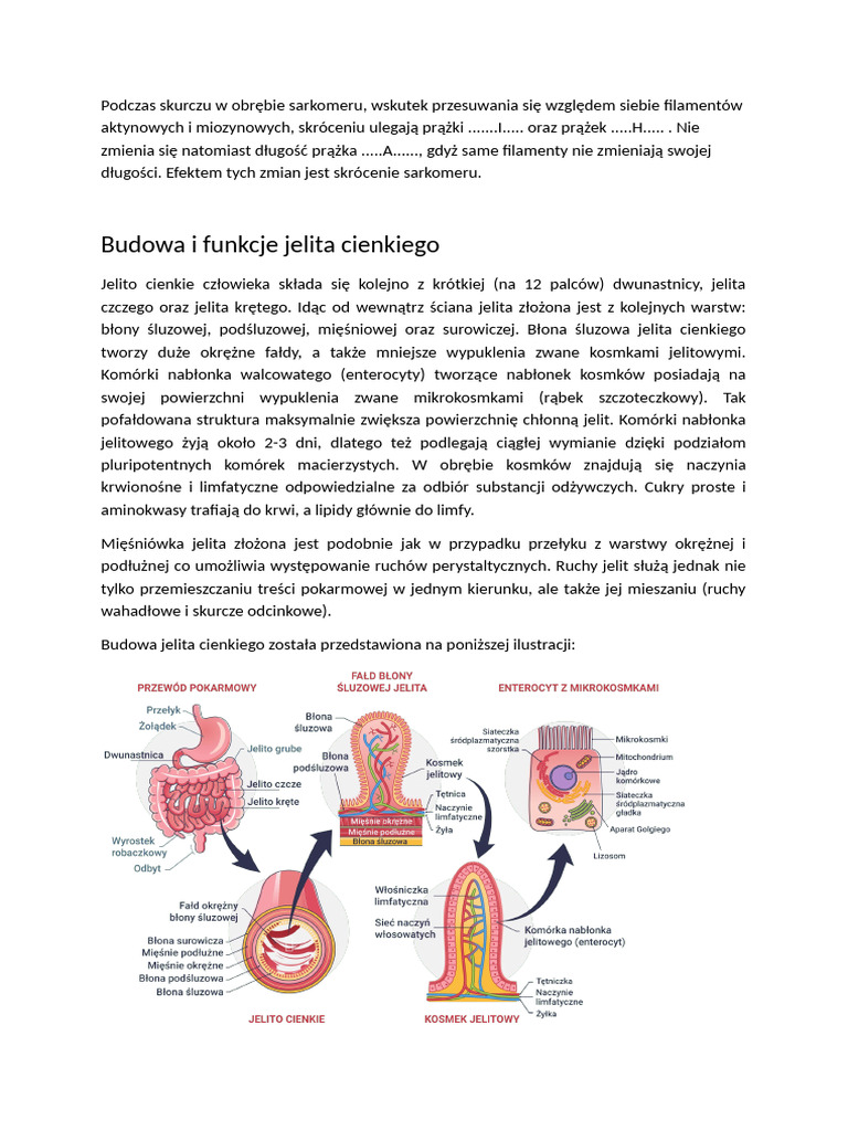 czlowiek-pdf