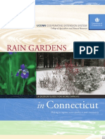 Rain Gardens in Connecticut