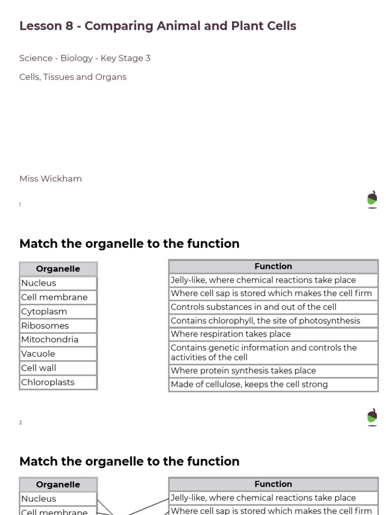 Science Key Stage 3 Lesson SCIy7u2L8 | PDF | Cell (Biology) | Cytoplasm