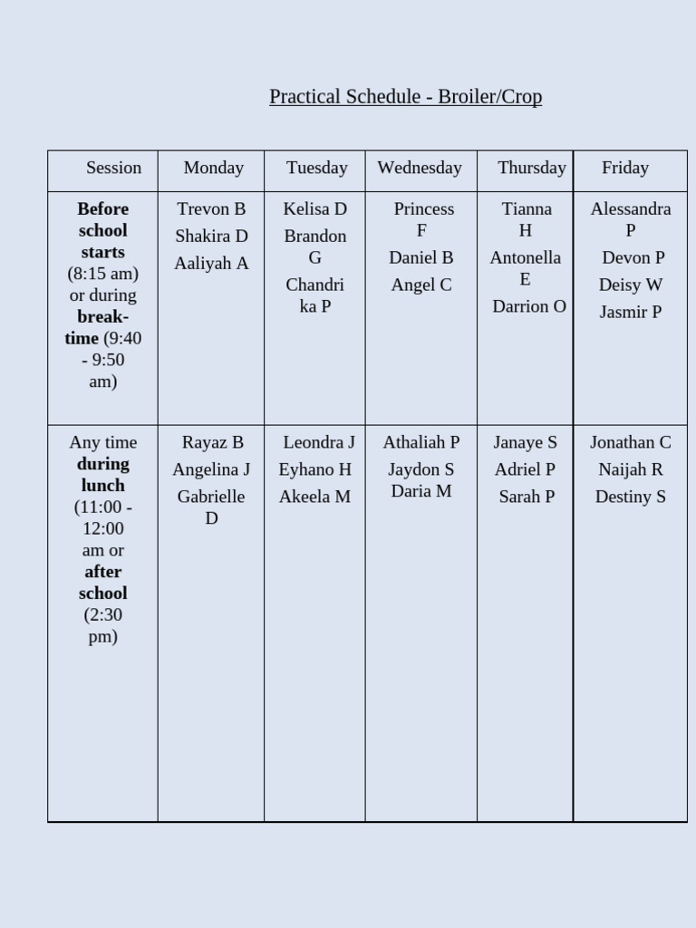 Practical Schedule Term 2 | PDF