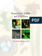 Pennsylvania's Wildlife and Wild Places
