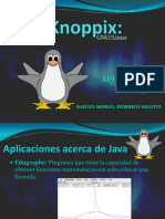 Knoppix Java