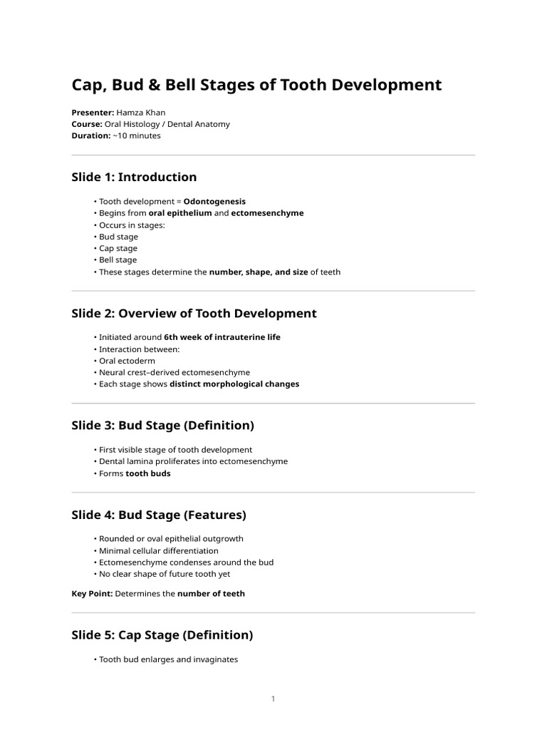 Cap, Bud & Bell Stages of Tooth Development – Presentation Slides (1 ...